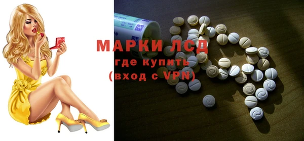 стафф Архангельск