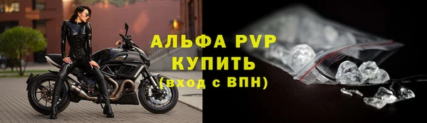 стафф Мурманск