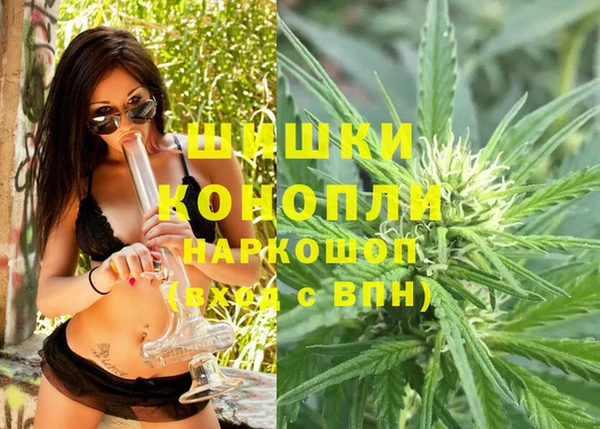 сатива Медвежьегорск
