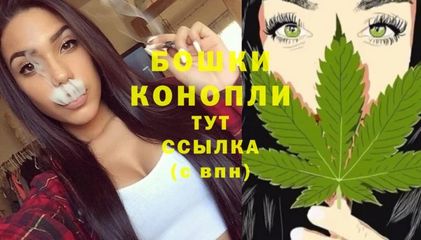 тгк Медногорск