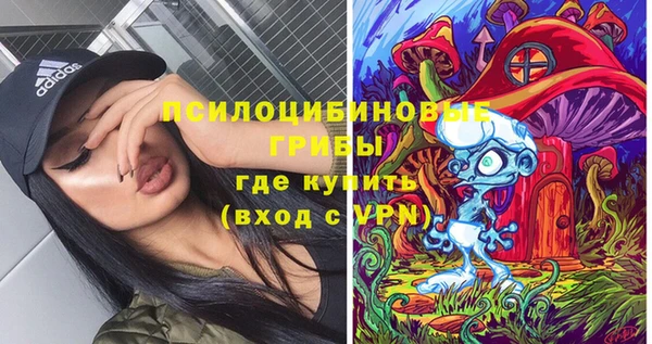 стафф Архангельск