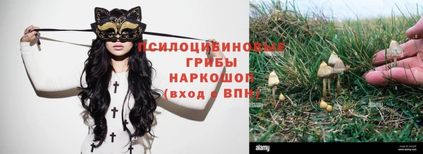 стафф Мурманск