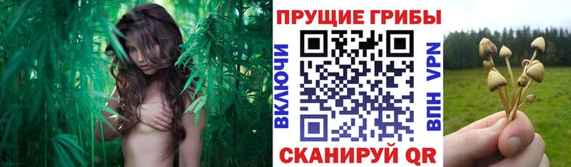 Галлюциногенные грибы прущие грибы  купить наркотики цена  Островной 